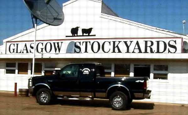 farmers livestock market glasgow ky market report